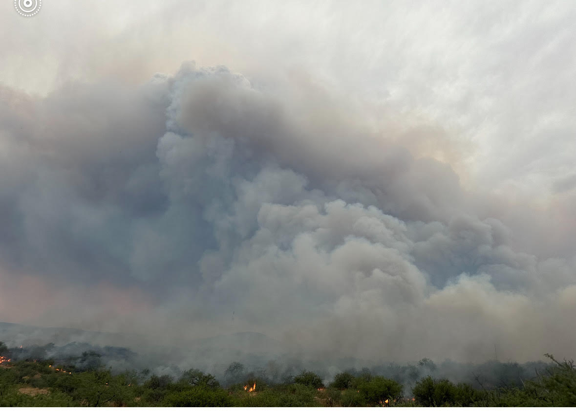 azstateforestry's tweet photo. #WashFire approx. 1000 ac. burning w/n the Black Mountains SW of Dudleyville and NW of Oracle. Fire threatening communications tower & power lines. Fire is active on all sides. 

#AZForestry's Tucson Crew on scene & engaged w/add'l resources requested incl. hand crews & engines. AA ordered but can't launch due to high winds in area. 

#AZFire #AZForestry #PinalCounty
