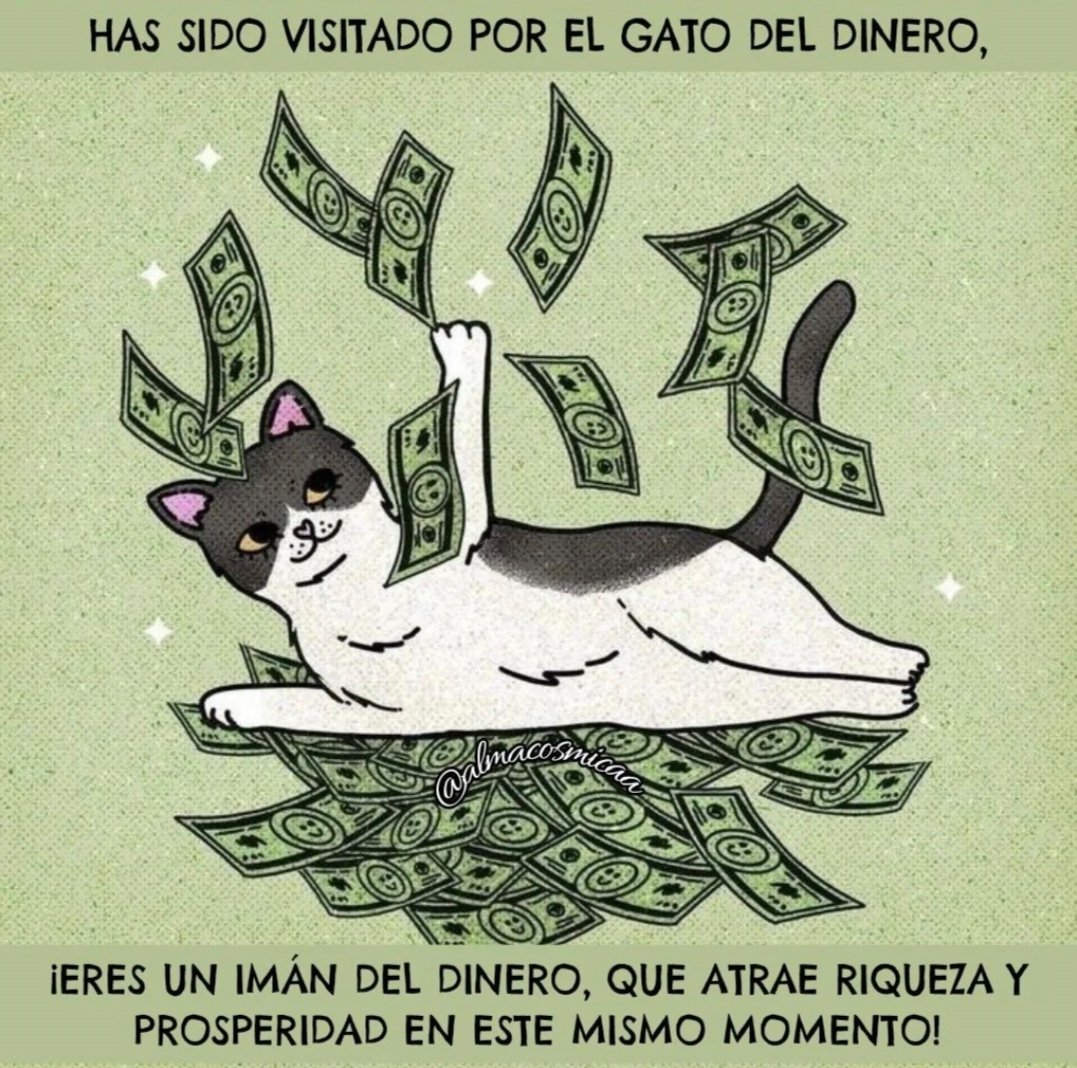 boladepelosof's tweet photo. ¡Hecho está! 💲💵💲💵💰🫰
😺😺😺😺😺

#boladepelos #michimeme #CatsOfX #gato #gatos #gatitos #gatosfelices #catslovers #mascota #mascotas #mascotasfelices #felinos #felinoslindos https://t.co/guwRSKhWi7