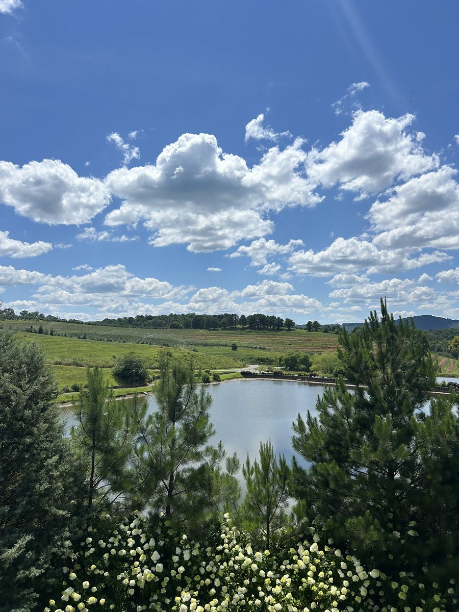 dean_ga's tweet photo. @MercierOrchards 🍎
Enjoying the views, pies, and donuts! https://t.co/XDcpvPEWLj