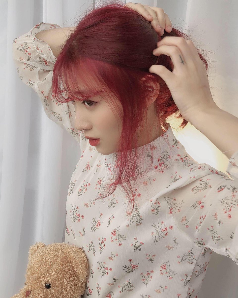 Stephanie Fields (@stephanief69935) on Twitter photo 