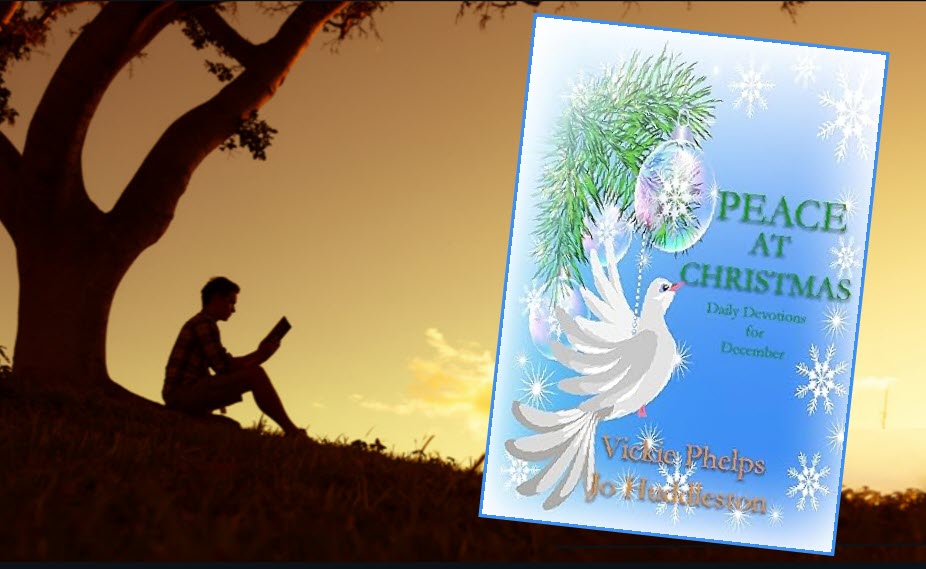 #Christian #Faith #Spirituality #Devotional #Christmas    Reflect on God's heart of love and His first gift to the world. Let these daily devotions strengthen your resolve to remember the true reason for the season, all year round. 
amzn.to/3W0t506