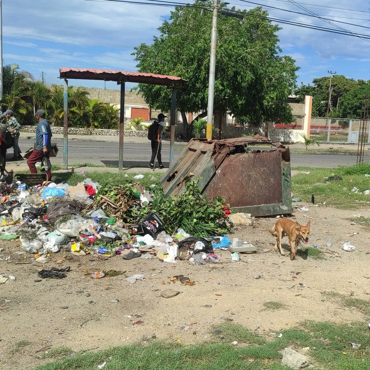 cumanapropone's tweet photo. #Alerta • La contaminación de desechos no deja vivir a los habitantes de Las Palomas

¿Cuándo van a tratarnos con dignidad? Preguntó con indignación una habitante de la comunidad de Las Palomas, durante la visita realizada por el equipo de La Gente Propone Cumaná.

#Cumaná https://t.co/vZr8wBlAwO