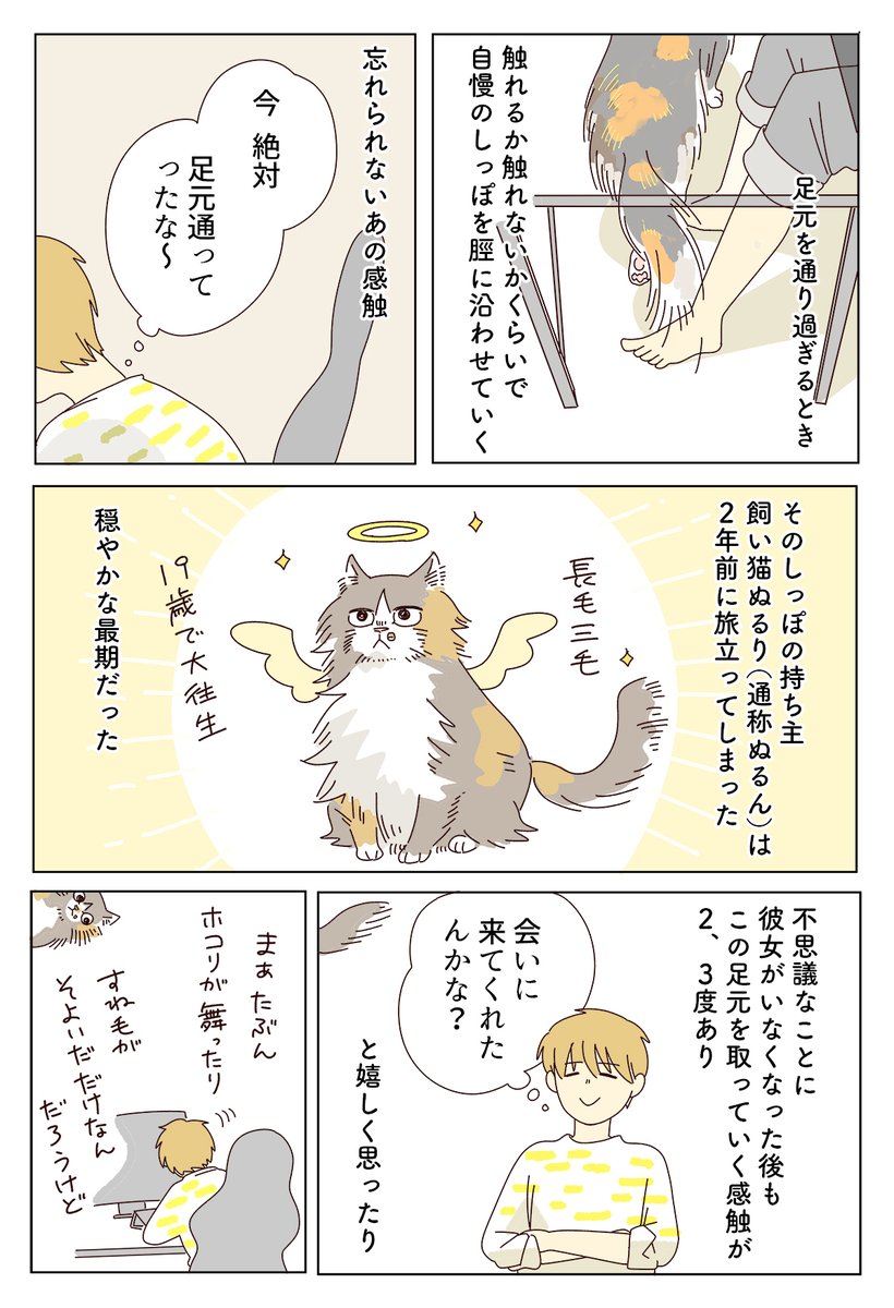 フサフサしっぽを探して 