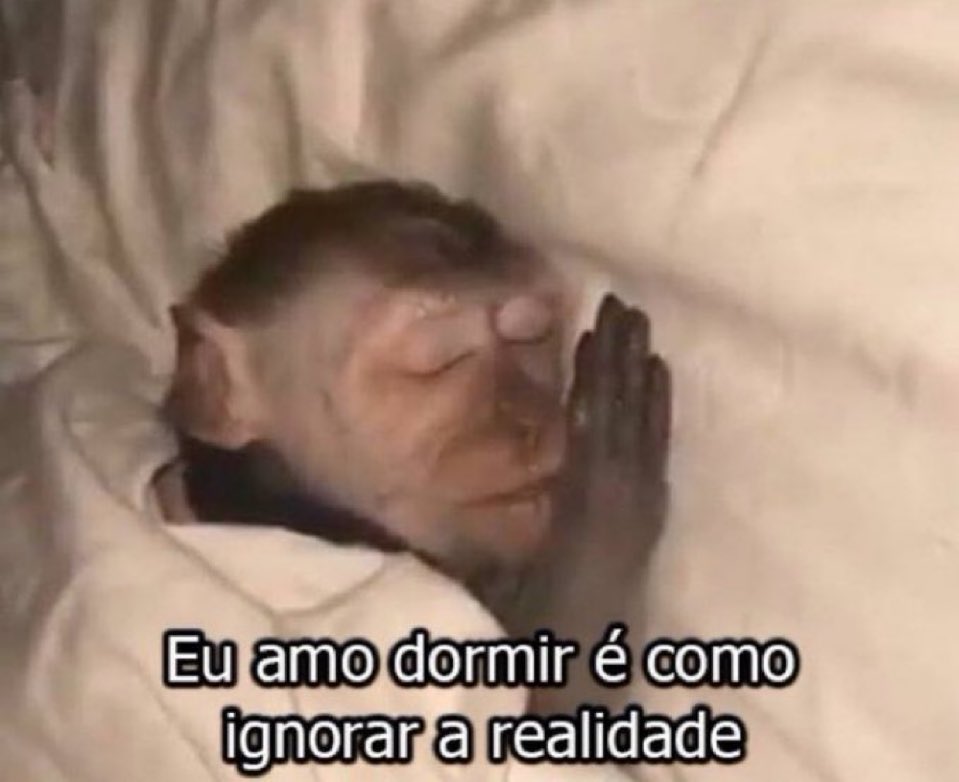 euovitinn's tweet image. amo