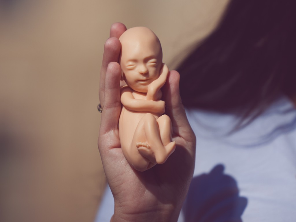 Jesse Rieser tweet media