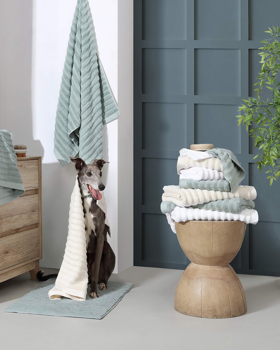 sunday_citizen_'s tweet photo. Our new ultra-absorbent, irresistibly soft Turkish cotton linens are like a spa day, every day. ๐Your old towels might start to feel a bit jealous.
#BathTowels #HandTowels #Washcloths #TurkishCotton #BathMat https://t.co/PwDk2DYcbx