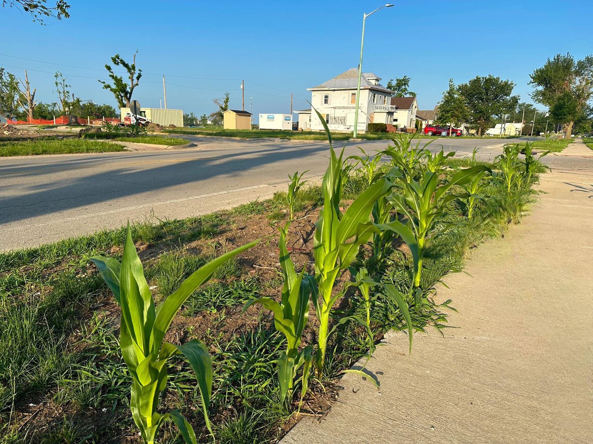 Jacob Spink tweet media