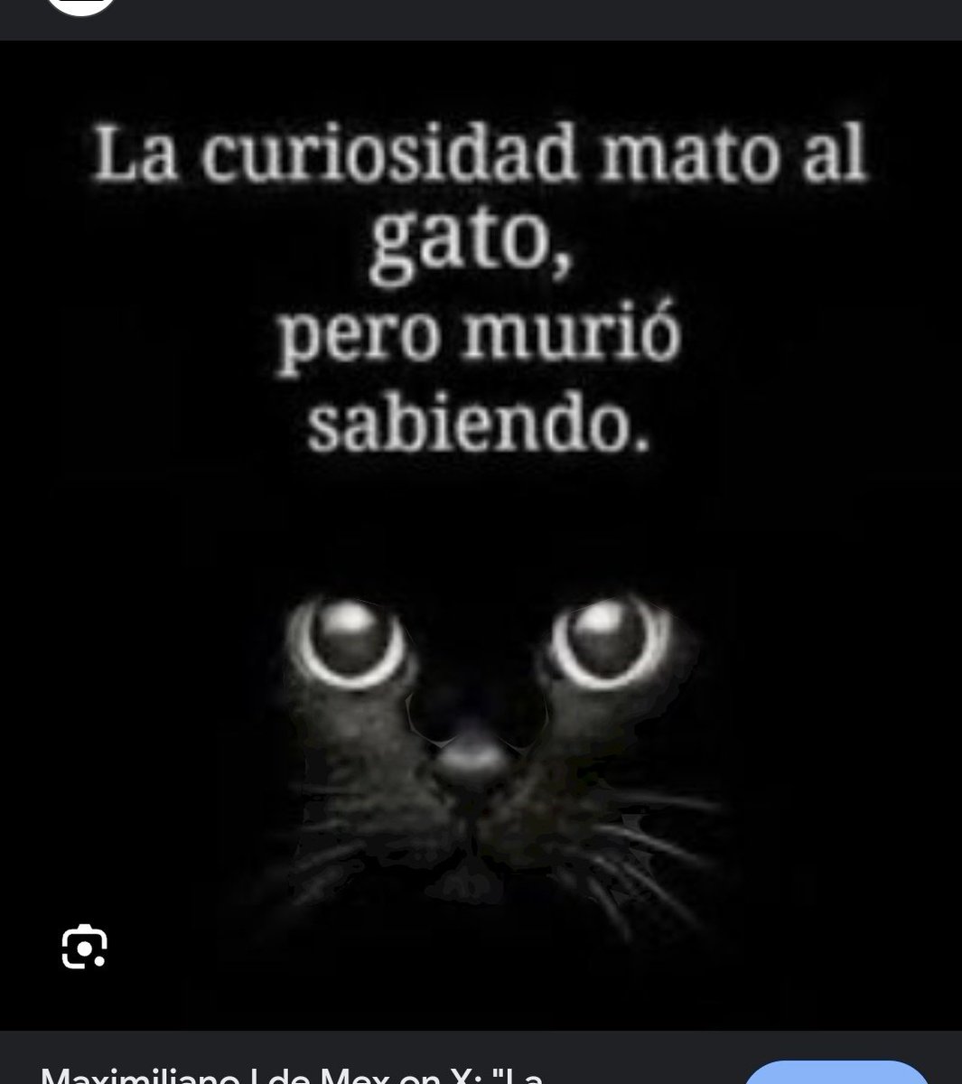 goldechipi's tweet photo. @goldepipi @goldechipi2 https://t.co/DX9rSJJDLC