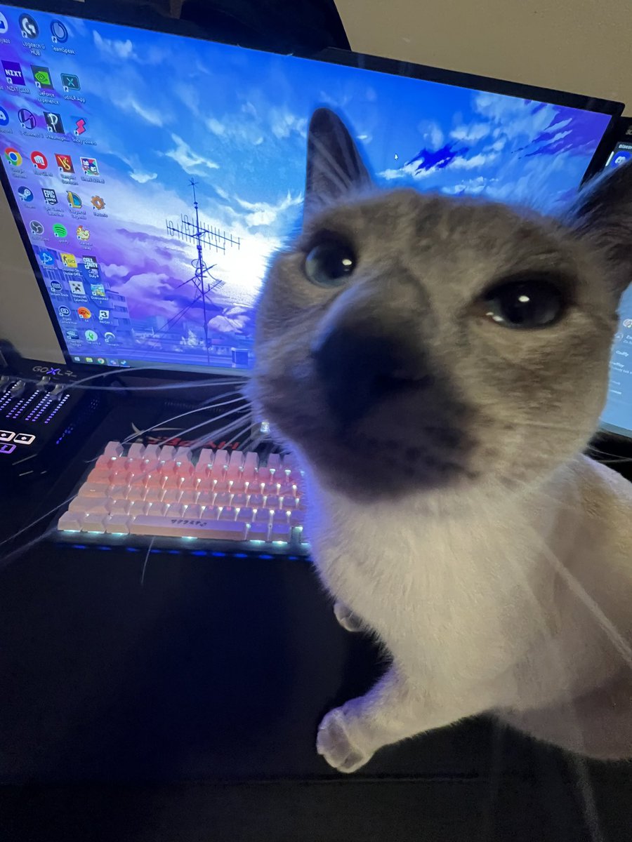 xshelbers's tweet image. hmm i wonder who ate my mic while i was away… hm………