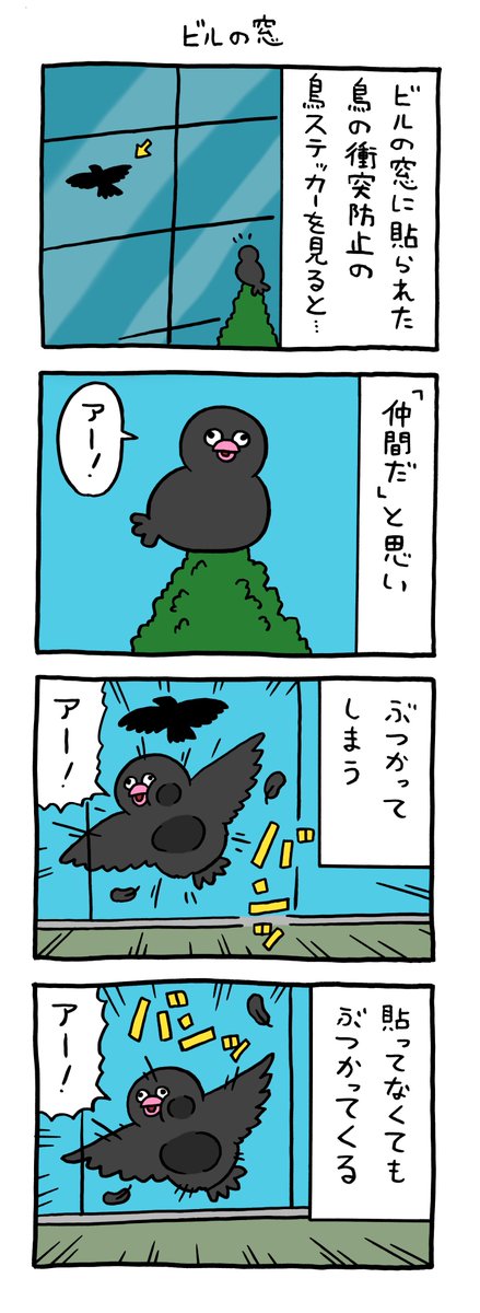 絶滅寸前の鳥ハッチンパラス「ビルの窓」 