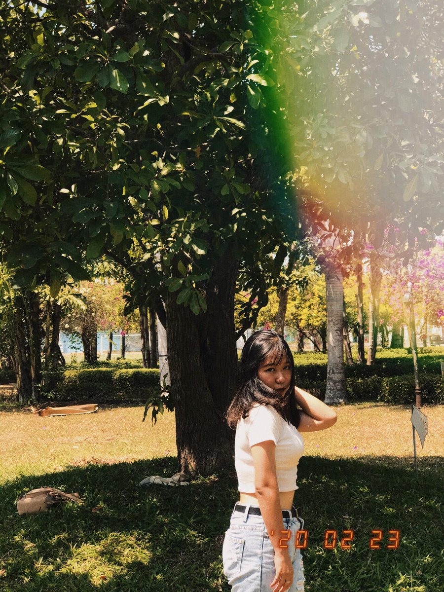 Donna Boyd (@donnaboyd89344) on Twitter photo 