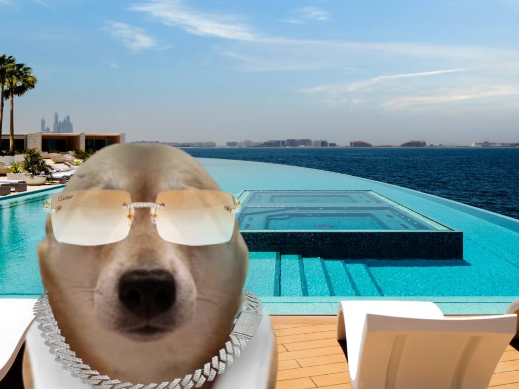 vibin dog tweet media