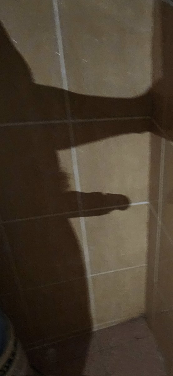 เตรียมอาบน้ำไปทำงาน ฮึฮึ