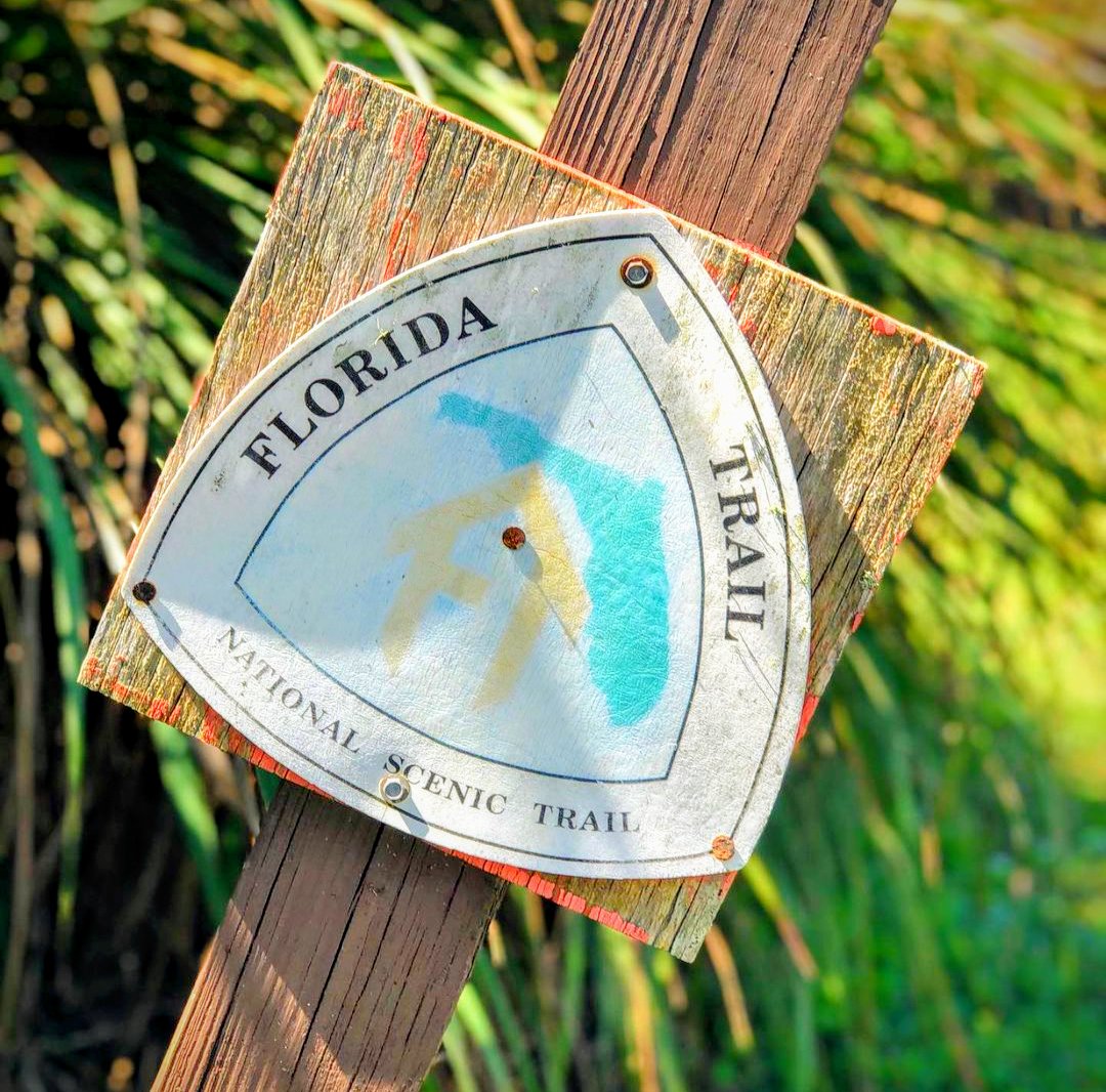 XANDER GEOGRAPHIC 🏕️ tweet media