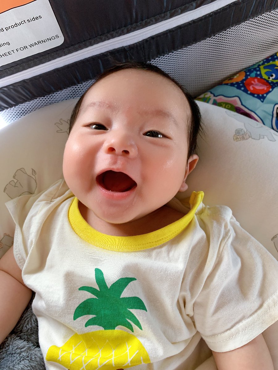 maya023035791's tweet photo. この世に生まれて5ヶ月の
三男坊でございます🧡🧏🏻‍♀️ https://t.co/NLUzQMcAIG