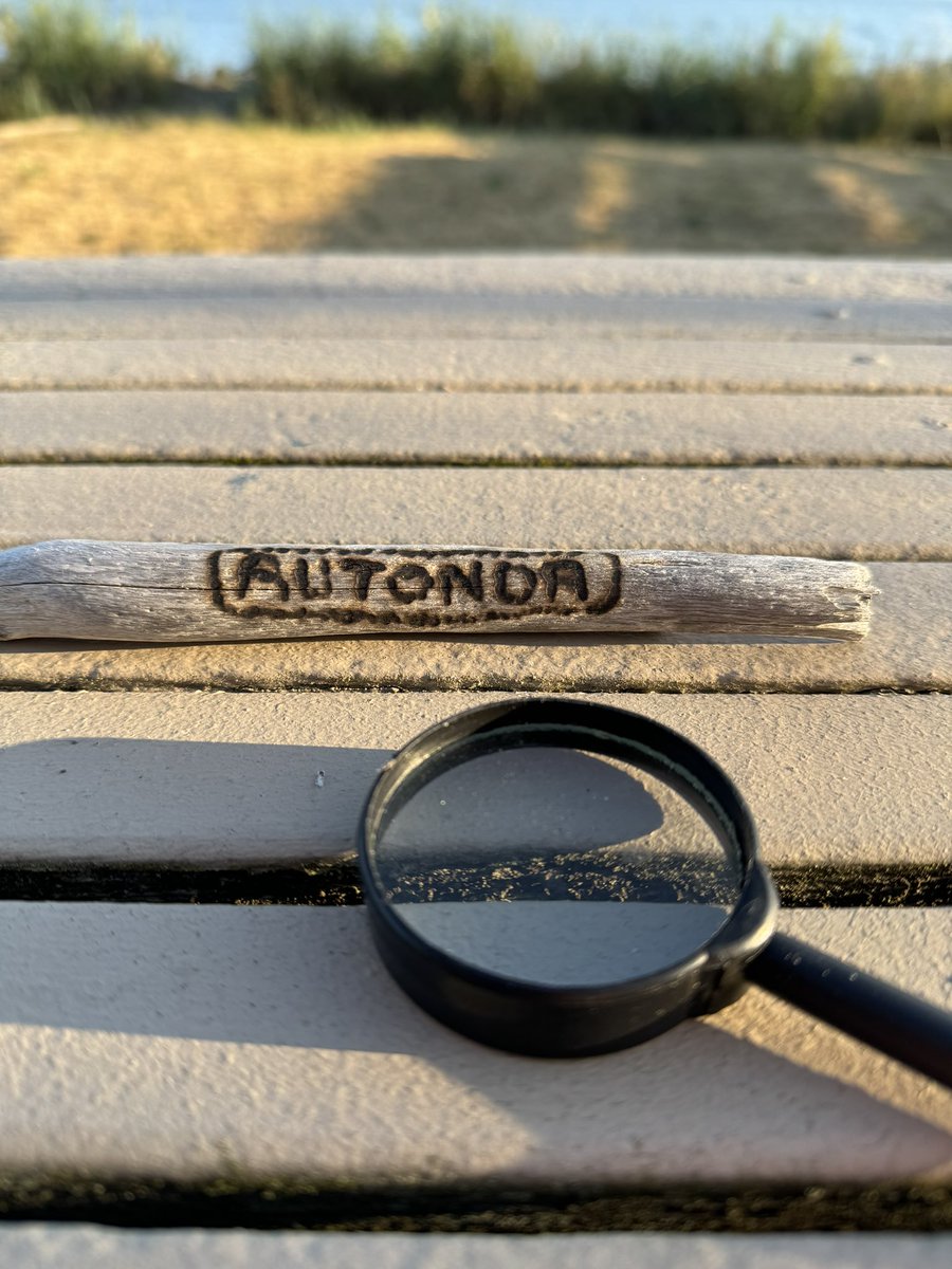 PrestonJClark's tweet image. Summer logo. #AutoNDA