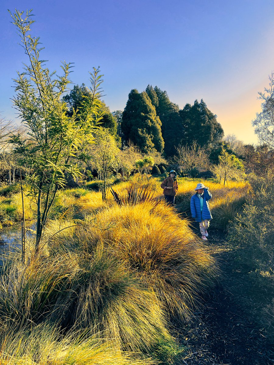 chungshane's tweet photo. Warm sunshine in winter. #BlendCamera with the new TINT effect. #winter in #NewZealand #photographicart https://t.co/nJEdIH6ofW