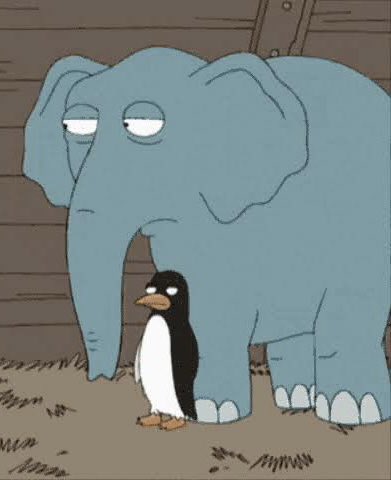 The face when everyone copy’s you $EPENG