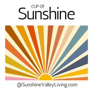 HealthVanity's tweet image. Love our new coffee mugs, start the day with fresh mountain air and a good cup of strong coffee = perfection. @SunshineValleyLivingX