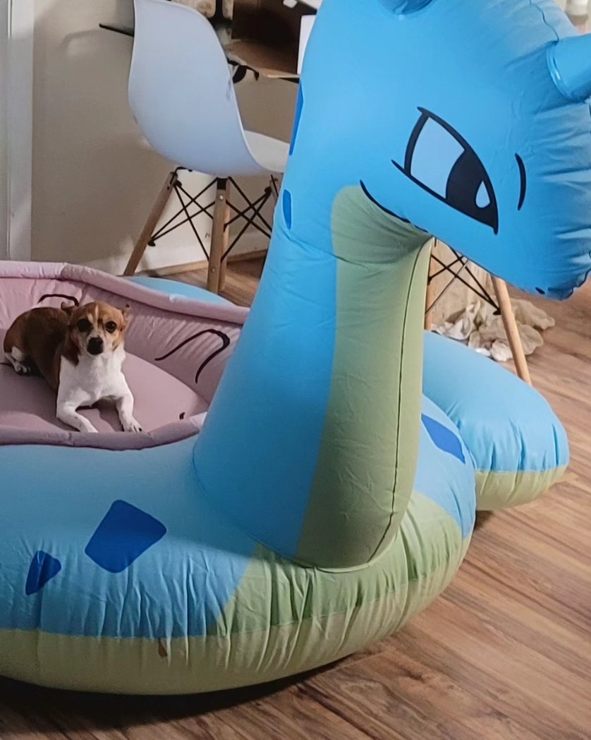 ItsJeriLynn's tweet photo. New must-haves featured under "products" on https://t.co/LYqAzPsvLW, like this Lapras float! 

#pokemon #AffiliateMarketing #amazonfinds #musthaves #influencer #pokemoncenter #pokemonlover https://t.co/HIHRuv088E