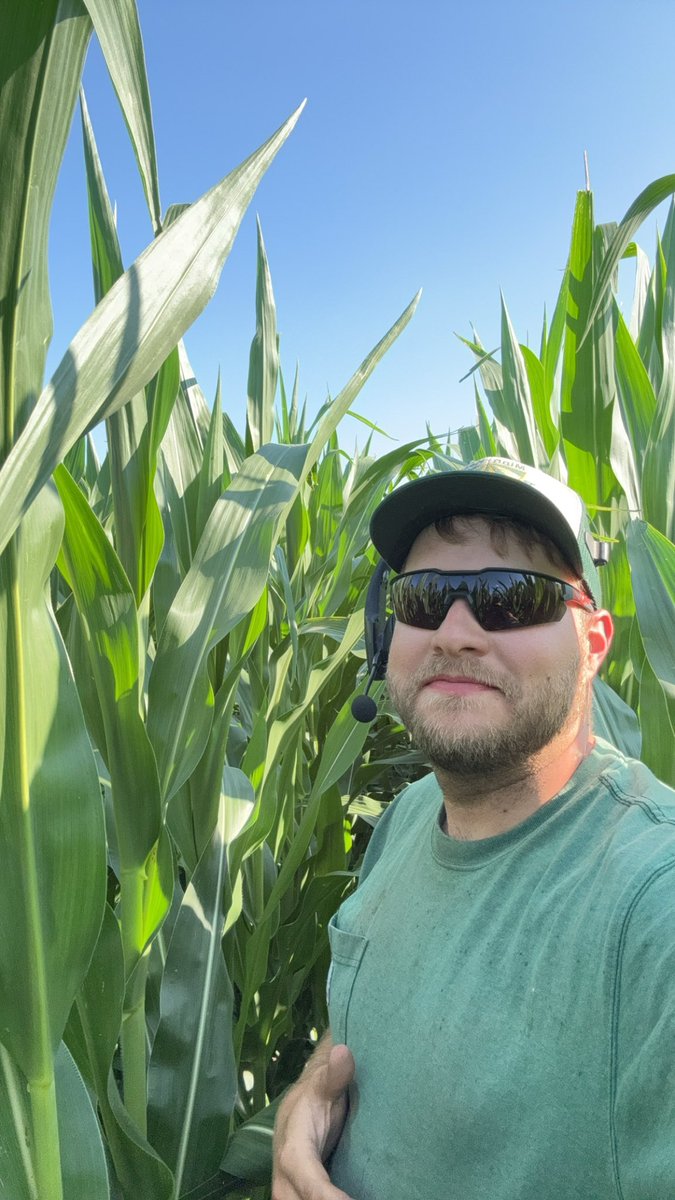 June 27 vs July 11. Amazing the difference 14 days and some heat units can make.