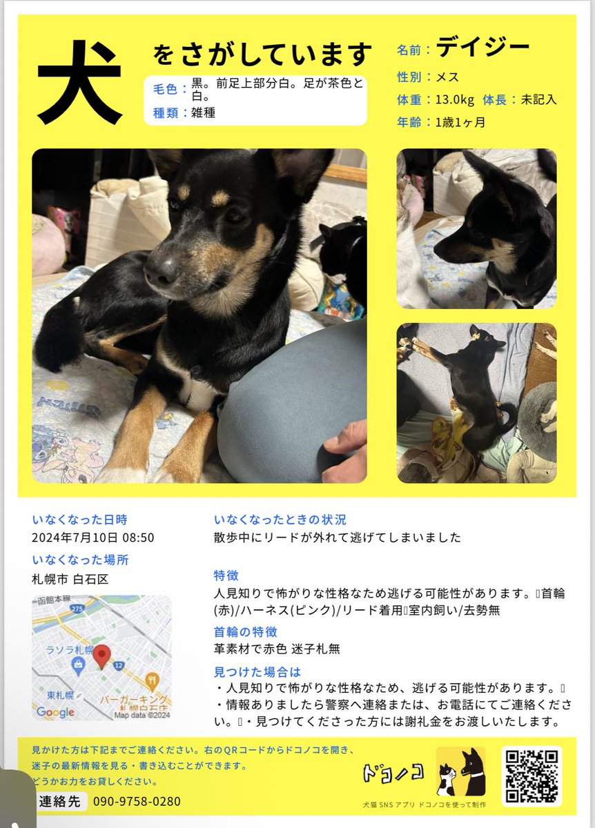 aripyonsuu's tweet photo. 【目撃情報/拡散希望】
6条団地付近で目撃情報をいただきました！
皆様ありがとうございます

足を引きずってる可能性あり
赤い首輪/ピンクのハーネスをつけています
中型犬の女の子です

付近を捜索中ですが、見かけた方いたらご連絡お願いいたします🙇‍♀️

#札幌 #白石区 #迷子犬 #迷い犬
#拡散希望 https://t.co/UjPyuSVa2g