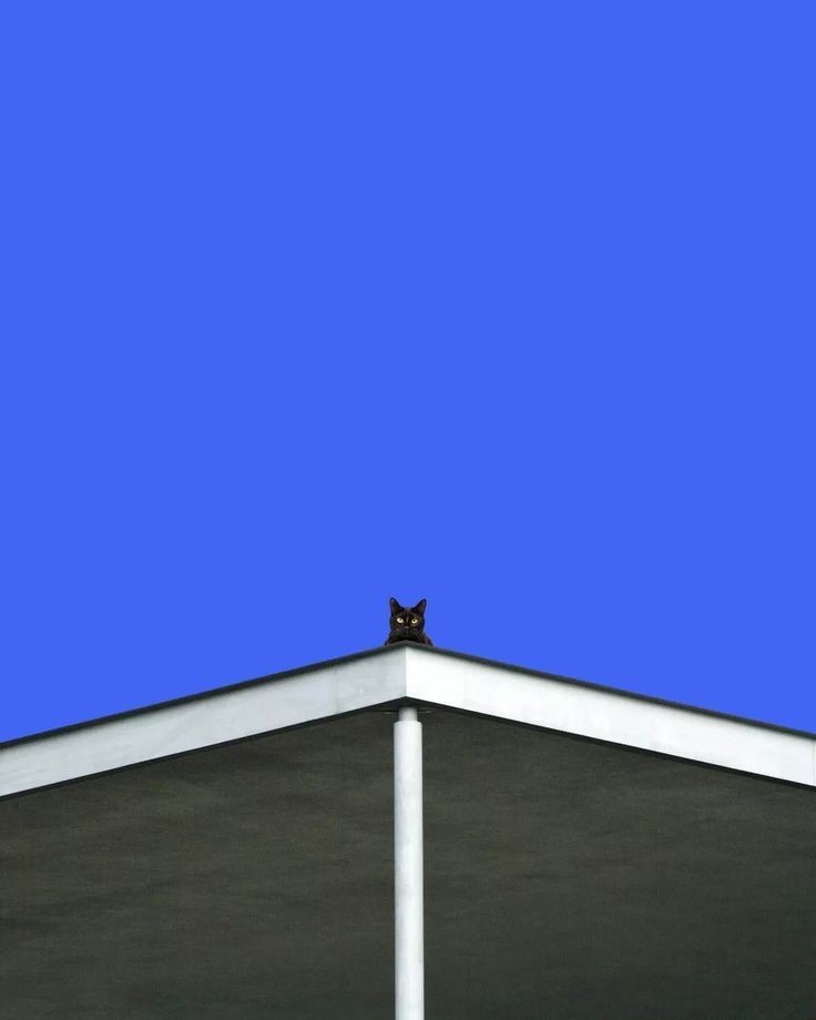 whataemptyspace's tweet photo. https://t.co/dJb6OpifN7