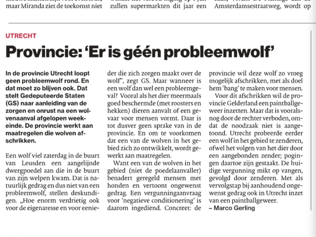 Glenn Lelieveld tweet media