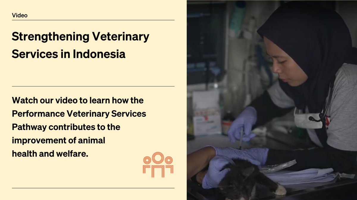 WOAH_Asia's tweet image. Do you know about the Performance of #VeterinaryServices 👩‍⚕️🧑‍⚕️Pathway? 

It's a #CapacityBuilding programme offering insights into strengths and weaknesses based on @WOAH #InternationalStandards 📖.

Watch our video on #PVS Pathway in Indonesia 🇮🇩 ⤵️
youtube.com/watch?v=35znOO…