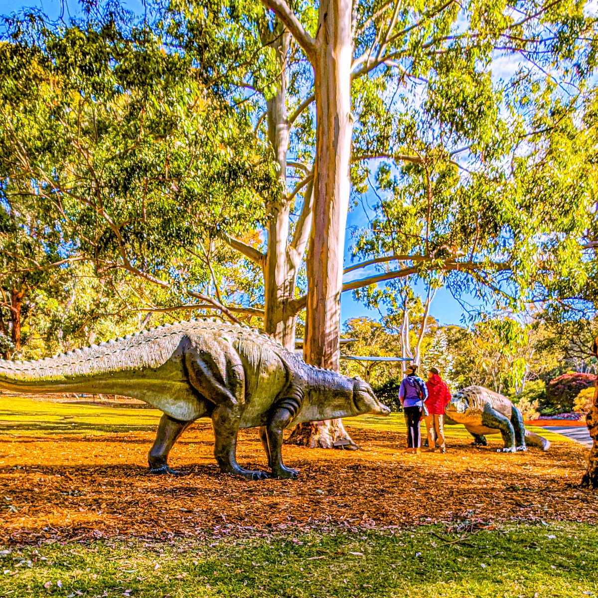 canberrastreets's tweet photo. Some of the MEGAfauna at the Australian National Botanic Gardens are failing at hide and seek!

The MEGAfauna are at the Botanic Gardens for all of July.

#VisitCanberra https://t.co/UPrhW66kb6