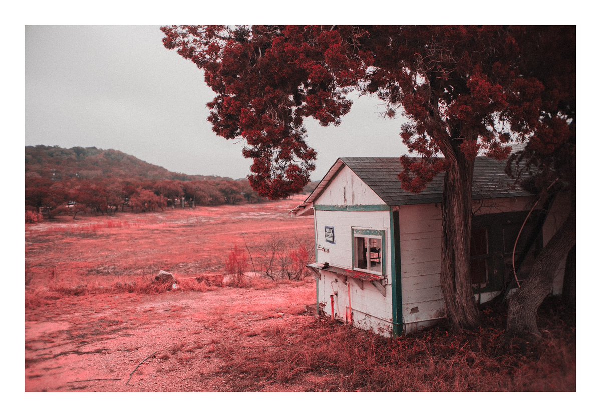 I have a light box tweet media