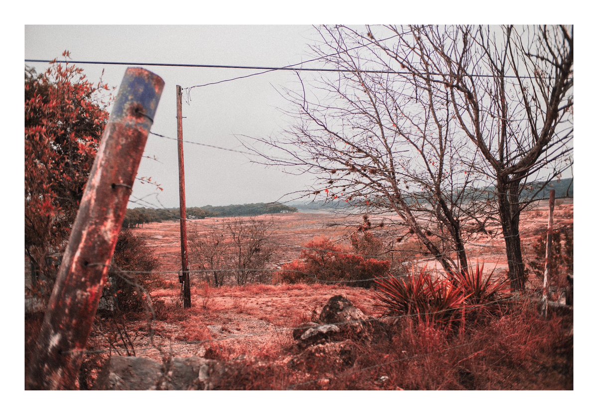 I have a light box tweet media