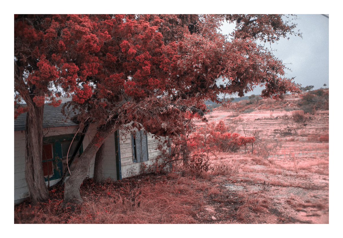 I have a light box tweet media