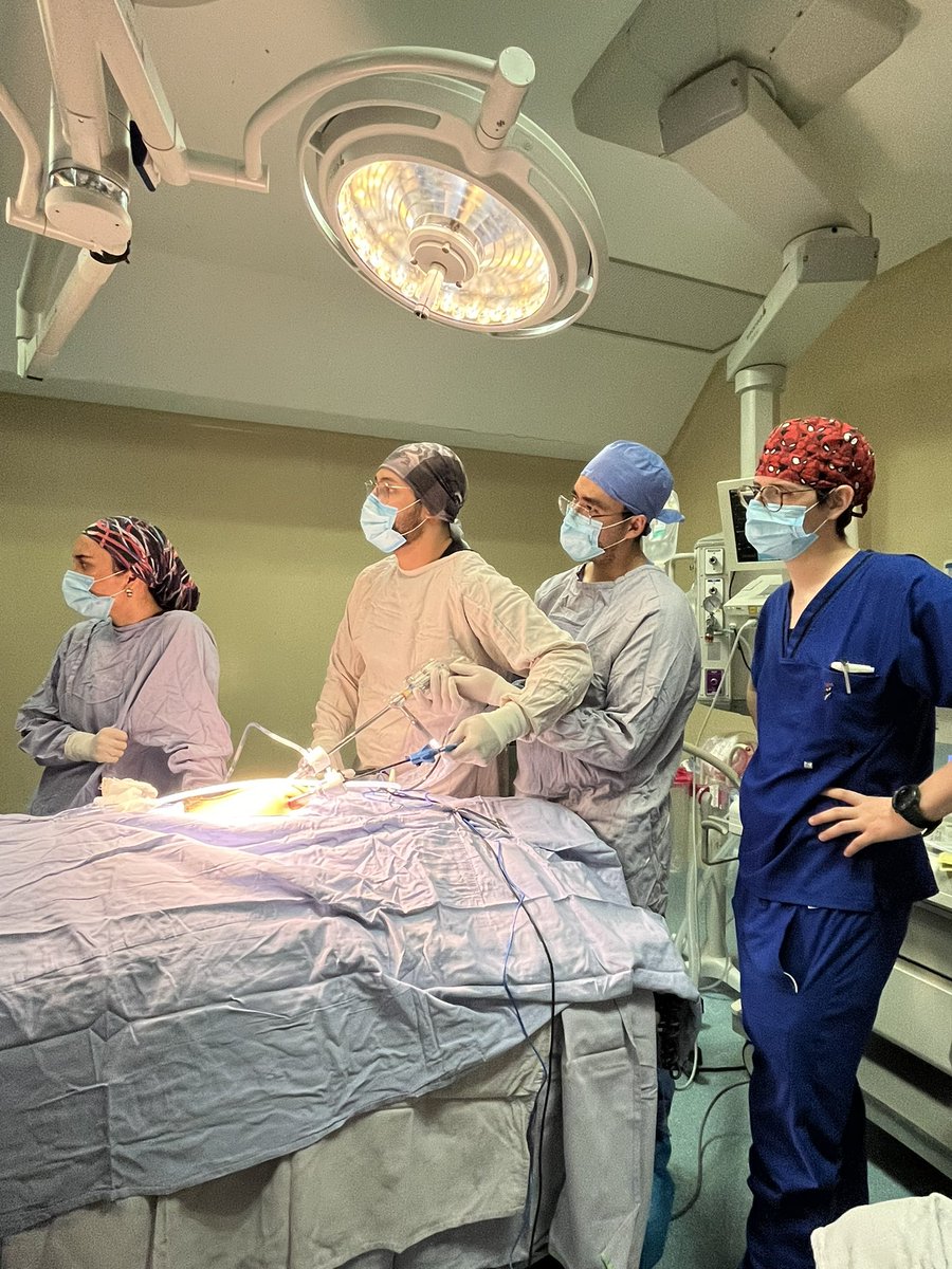 La reparación de la hernia inguinal -
Óleo sobre lienzo. (2024)