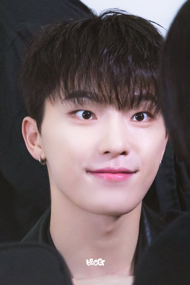 this otter looks so much like seventeen's dino 😱