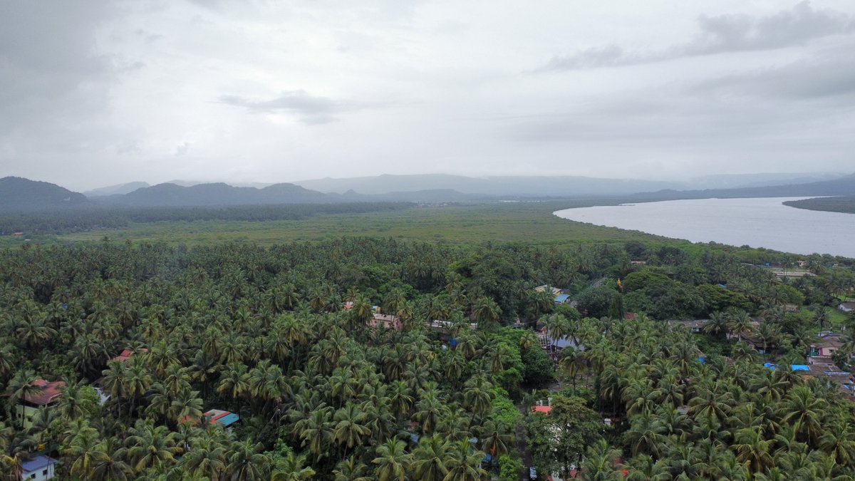vu3one's tweet photo. Picturesque #Kundalika river @ #Chaul, #Revdanda. July Monsoon ЁЯШН #Ashtagar https://t.co/Ytyd5XzI6N