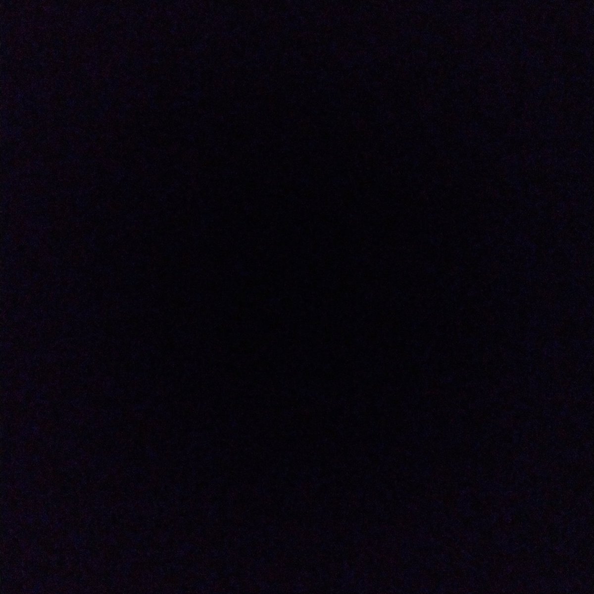 PolloCorgan's tweet photo. #NewProfilePic https://t.co/8JkcmMr1De