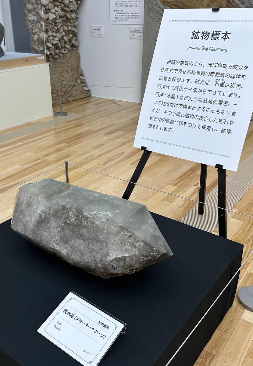 巨大な #煙水晶（#鉱物標本）／ 開催中の「#標本展」では「#水晶」の