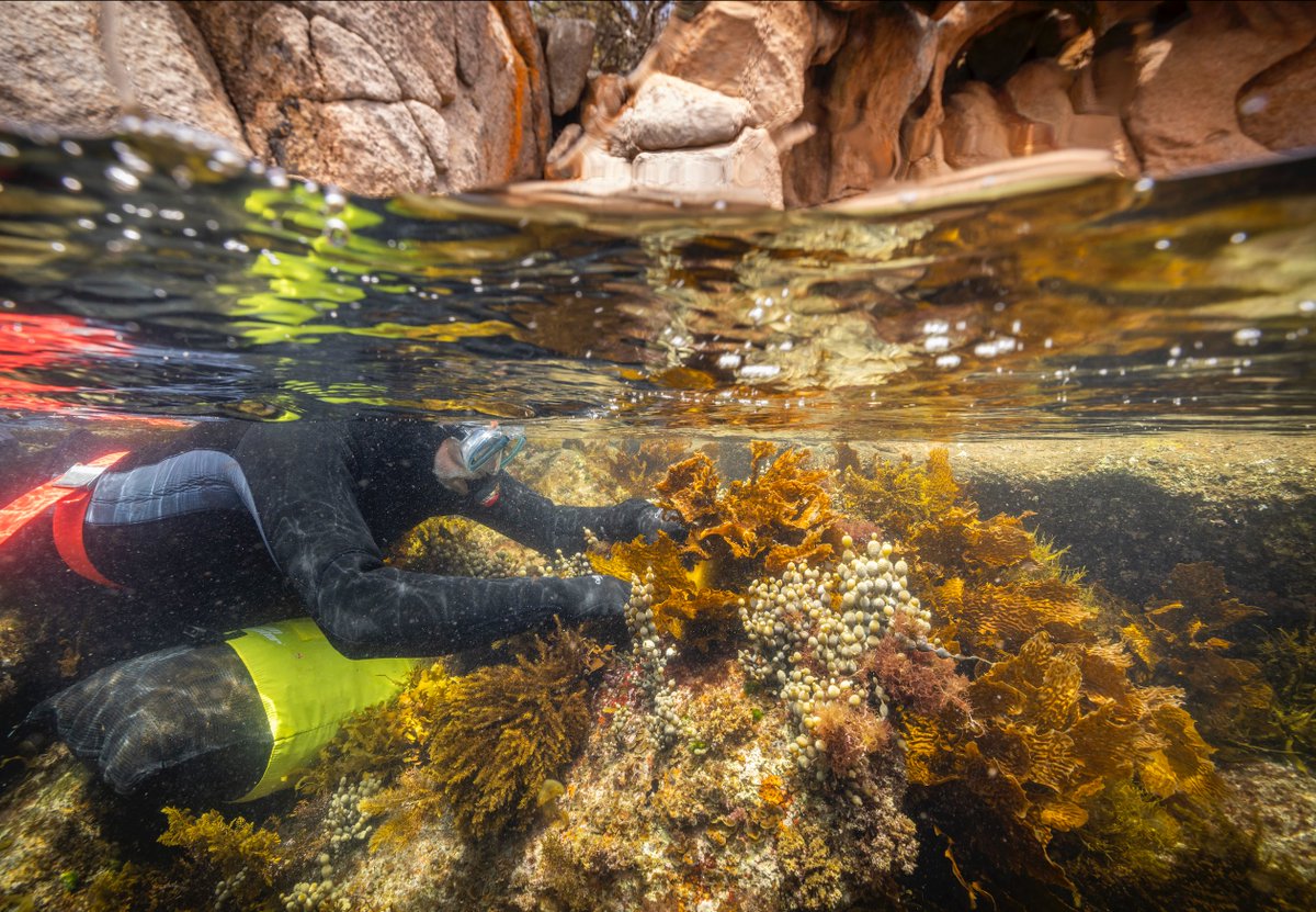 Interested in a job that involves research, monitoring, evaluation &amp; reporting for the conservation of Western Australia’s marine biodiversity?

Check out this research scientist position with the Department of Biodiversity, Conservation &amp; Attractions.

search.jobs.wa.gov.au/page.php?pageI…