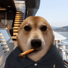 vibin dog tweet media