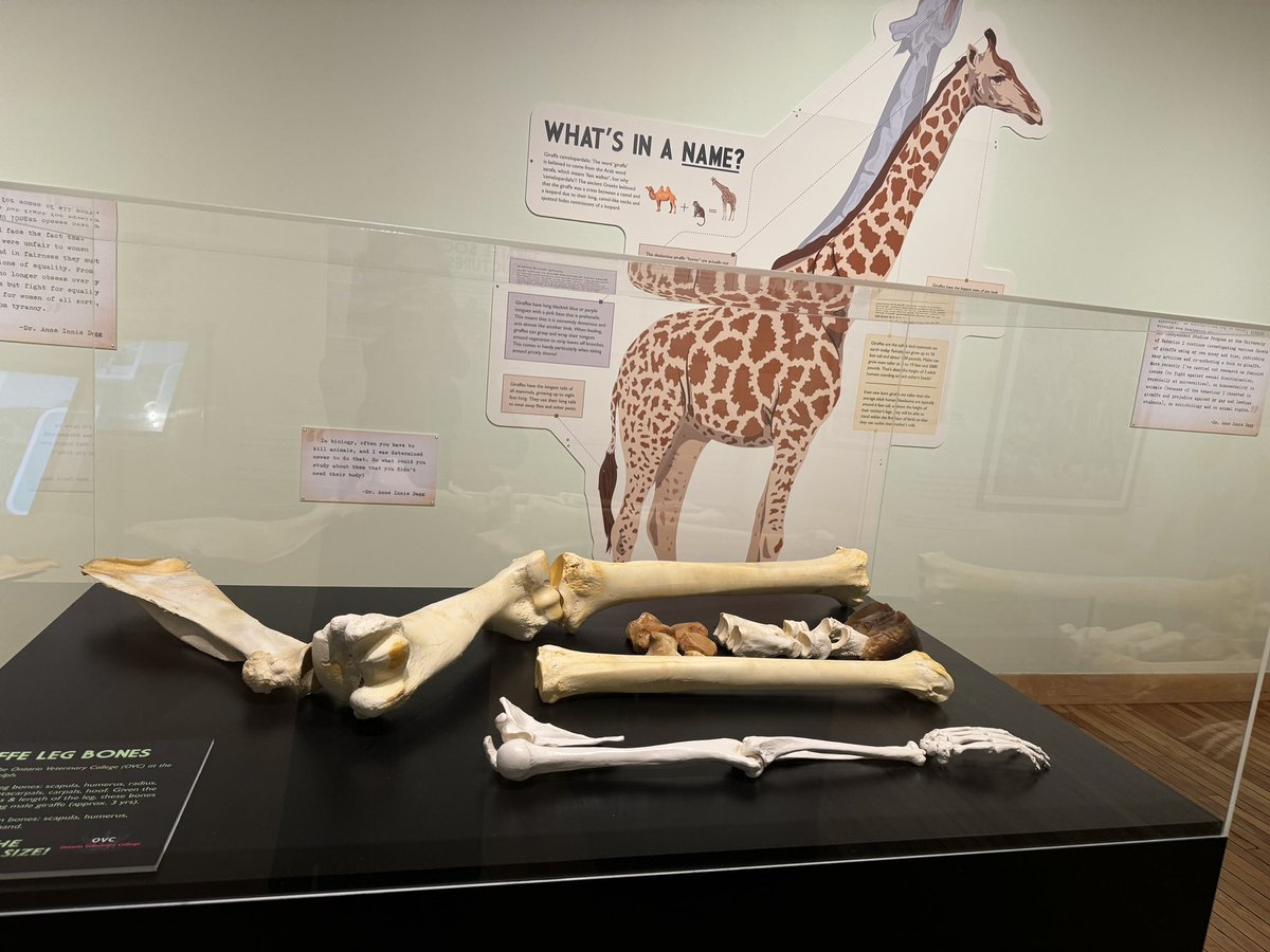 Such a beautiful day today. Started with an awesome lunch date with my wife. Then 8 hours of golf which never happens but today our campers were busy (basketball camp and field trip to the <a href="/THEMUSEUM/">THEMUSEUM</a>) #fishandfirecamp #getoutside @PuslinchLakeGC <a href="/WedgesNWoods/">Wedges 'N Woods</a> 2/4