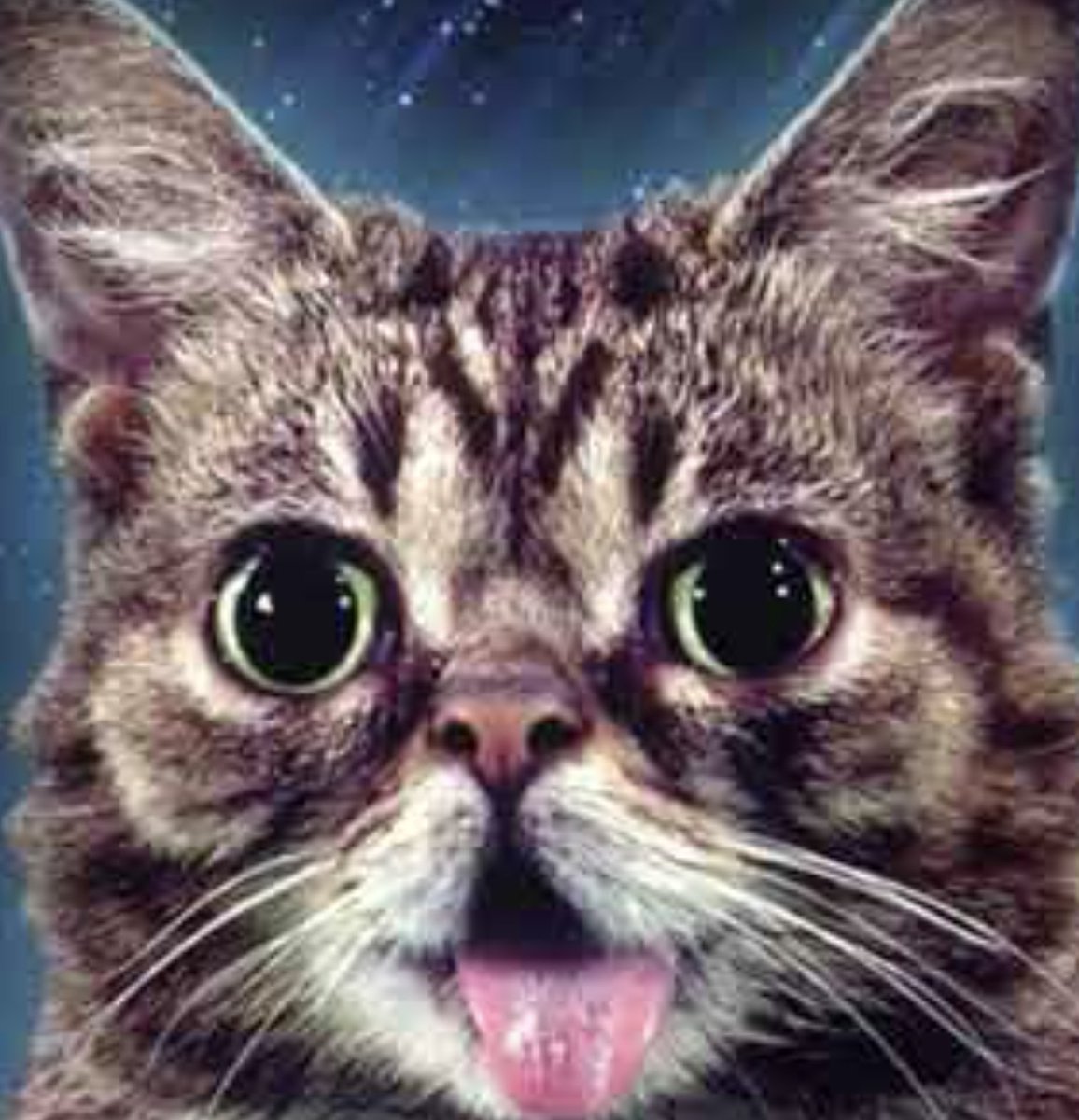 Ok lil $bub, i need to Friday feel.

FKN send it to 10mil NOW. 

@ctobub