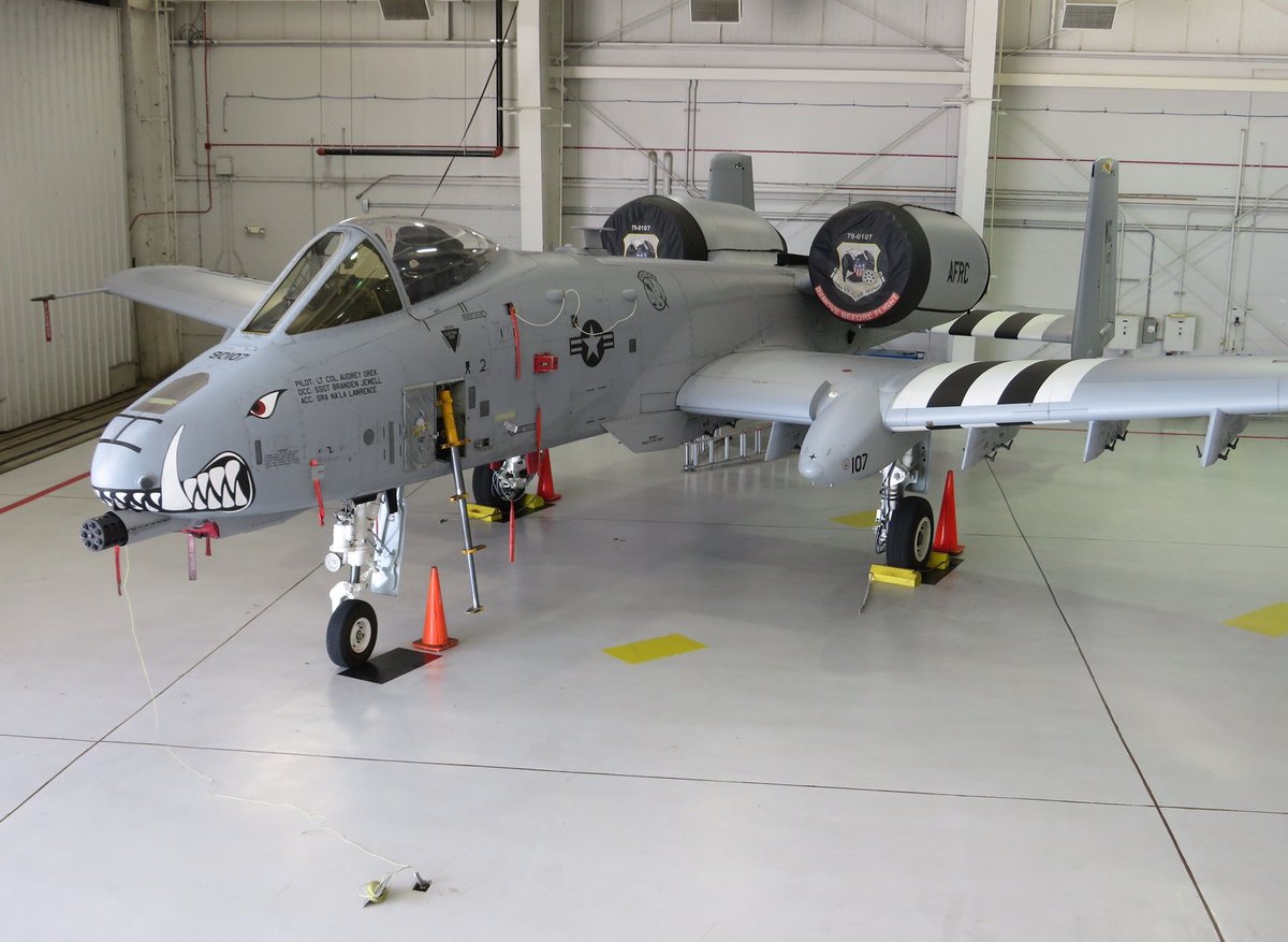 If you Google Project 2025 it states that every American male over the age of 30 will be entitled to an A10 Warthog and once President Trump signs off on it they'll be delivered to our driveways.

Unbelievable.