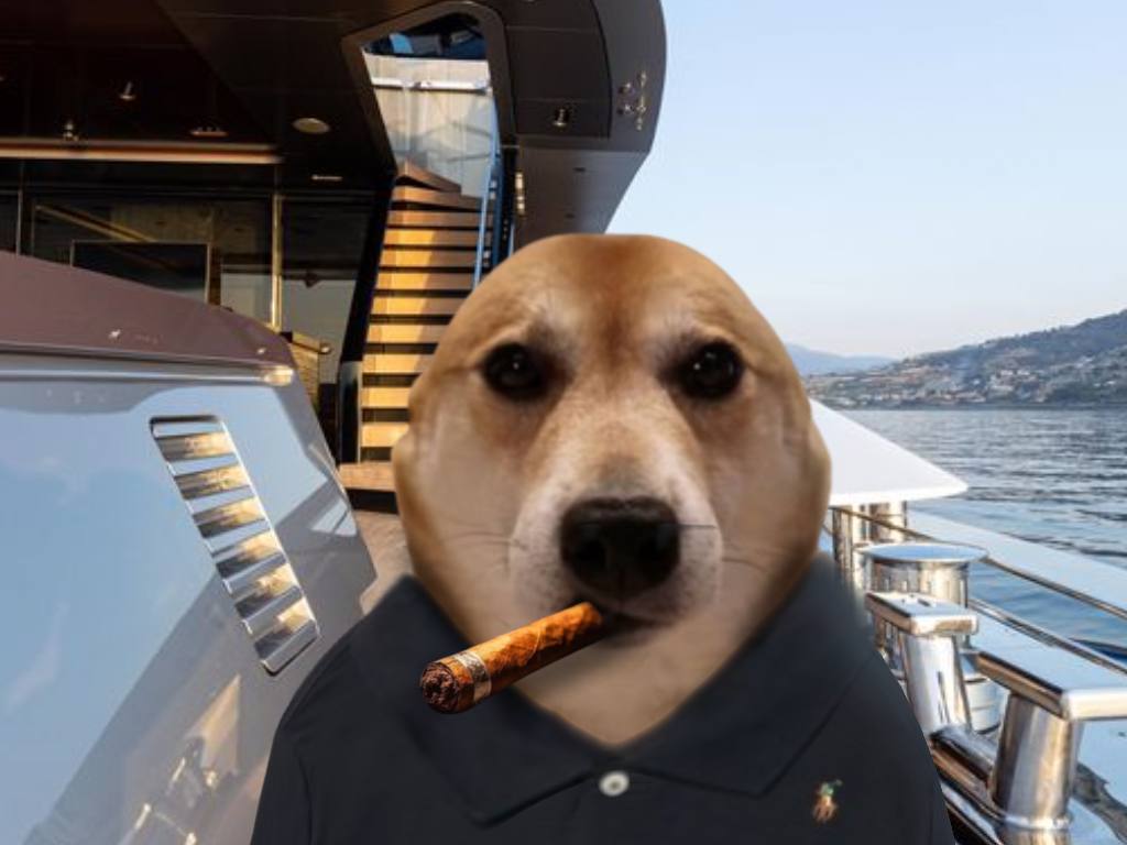 vibin dog tweet media