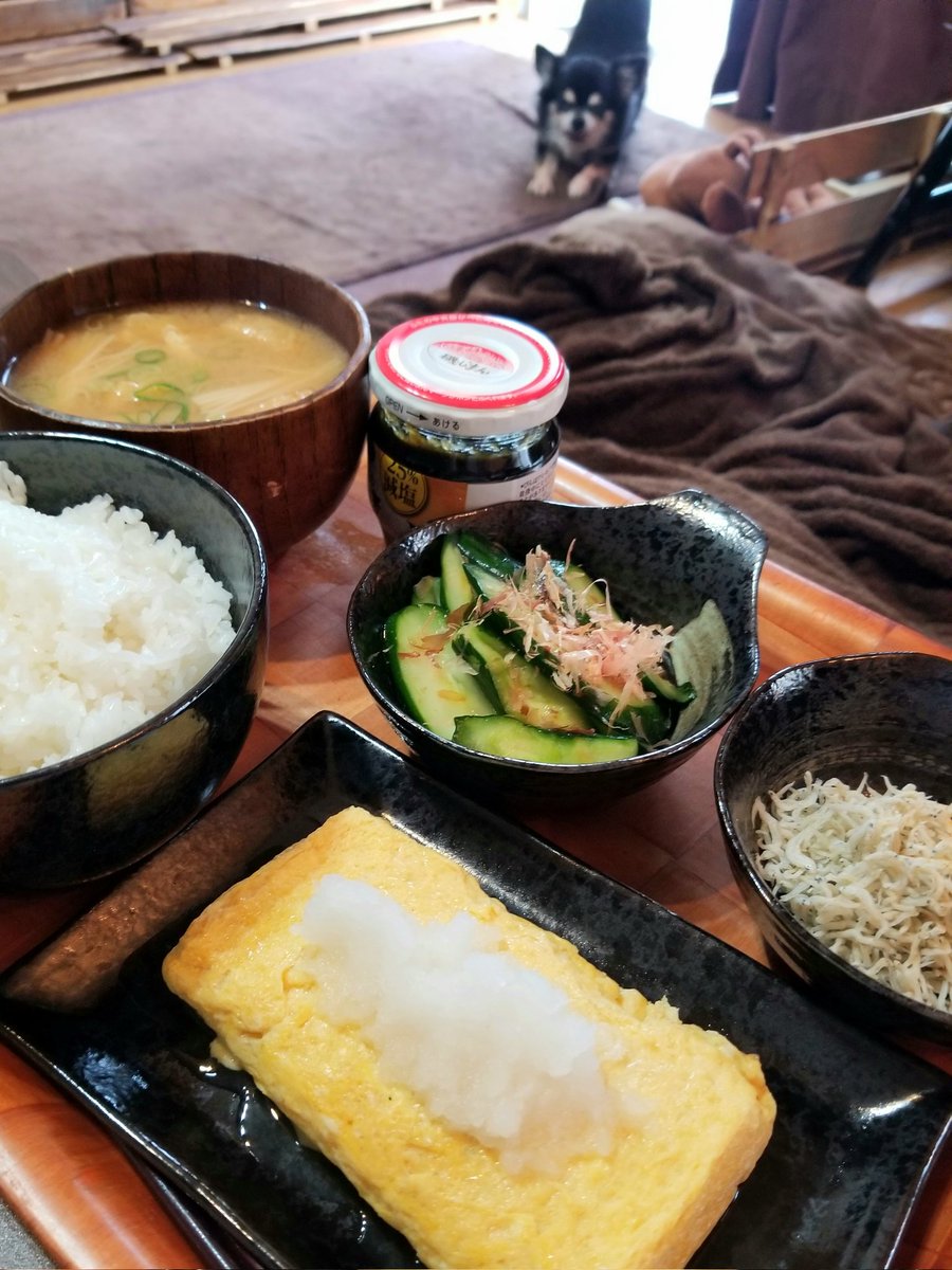 今日の昼ごはん_2024/07/12
・だし巻き卵
・ちりめんじゃこおろし
・きゅうりの浅漬け
・えのき茸と油揚げの味噌汁

きゅうりは知り合いから頂いた家庭菜園で採れたもの。
「磯じまんよ〜」の海苔の佃煮は２合のお米じゃ足らず食べず🌀
今日もおいしくいただきました😋

#おうちごはん #自炊記録 #男飯
