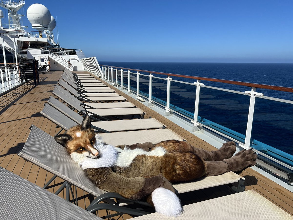 fidgetredfox's tweet photo. I wonder why there’s no one enjoying the oceanic view with me?

Foxes are easy to hang out with and friendly :3!

#FursuitFriday
🦊: @Selenovna #LunarForest
📸: @frxvmino https://t.co/9rSCwZm7I2