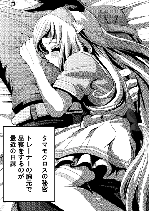 最近のタマのマイブーム。
タマとこんな日常を送りたかった。

#ウマ娘 #タマモクロス 