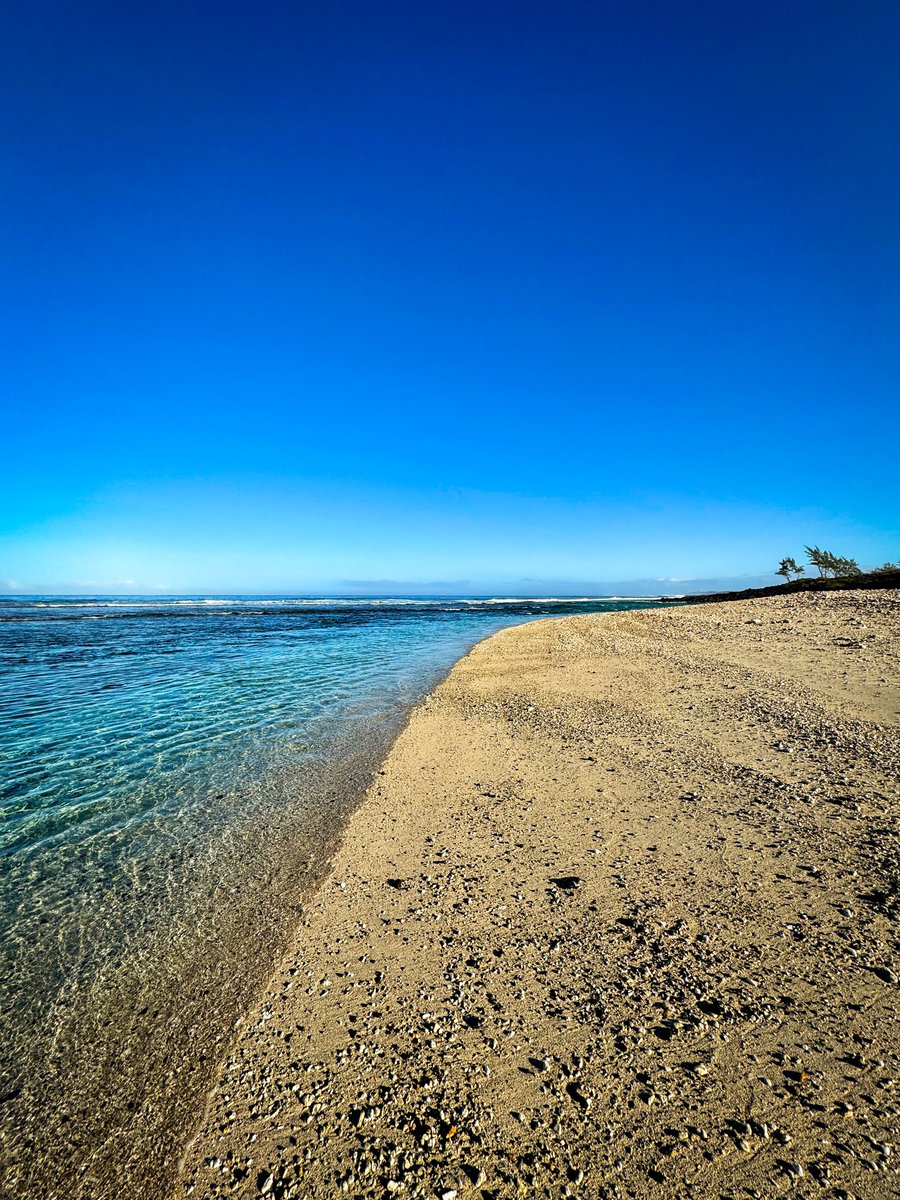 lepetrelblanc's tweet photo. Plage déserte au matin devant Le Pétrel Blanc
https://t.co/5sAQipUUiK
#Lareunion #Vacances #airbnb https://t.co/1Xtmm3I6mW