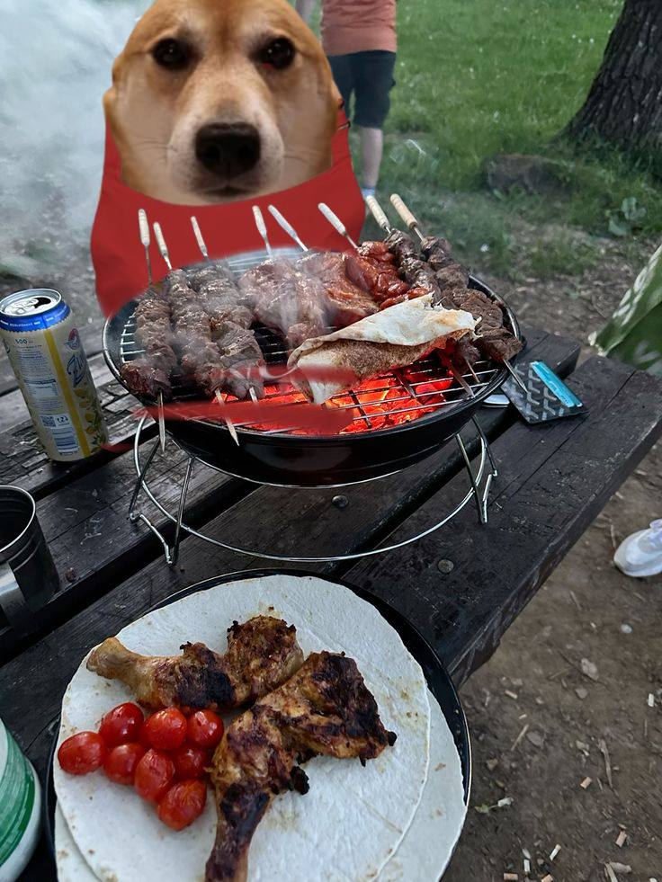 vibin dog tweet media