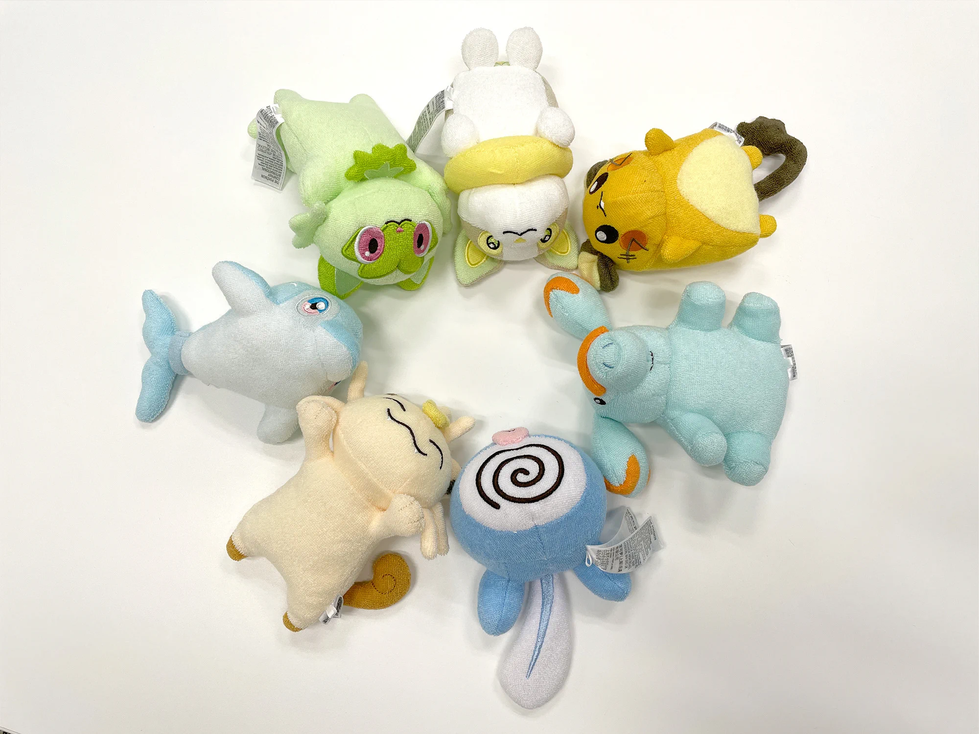 ポケモンだいすきクラブ編集部【公式】 on X: 
